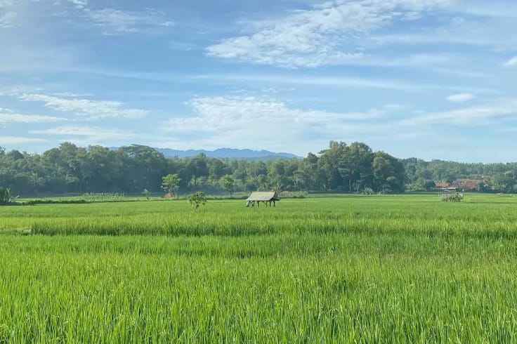 Lahan Pertanian Subur 
